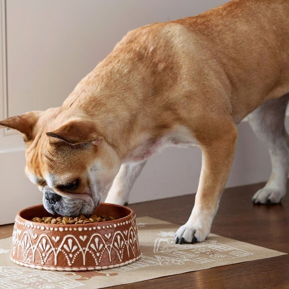 Pottery Barn Gingerbread Pet Bowl Large Stoneware - Picture 2 of 4